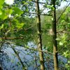 Tour Elbe-Lübeck-Kanal(Süd)