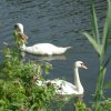 Tour 2: Elbe-Lübeck-Kanal(N)