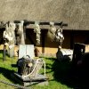 Tour3-Usedom-Koswerow