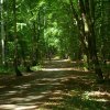 Tour3-Usedom-Koswerow