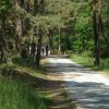 Tour3-Usedom-Koswerow