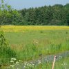 Tour3-Usedom-Koswerow